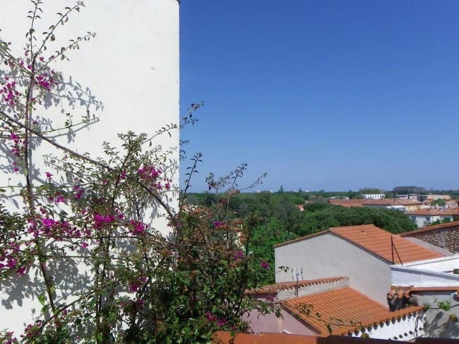 Rosella - Maison De Charme Au Coeur Du Village Argelès-sur-Mer Esterno foto